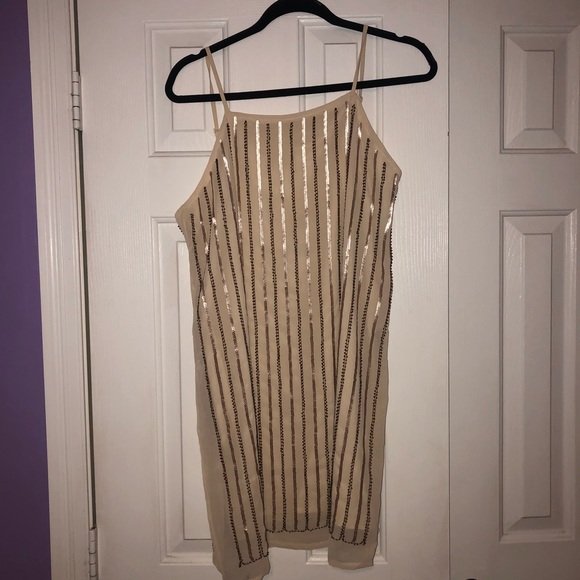 Beige Sequin Shift Dress - Picture 5 of 5